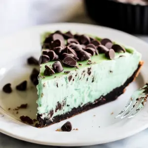 Frozen Mint Chocolate Chip Pie